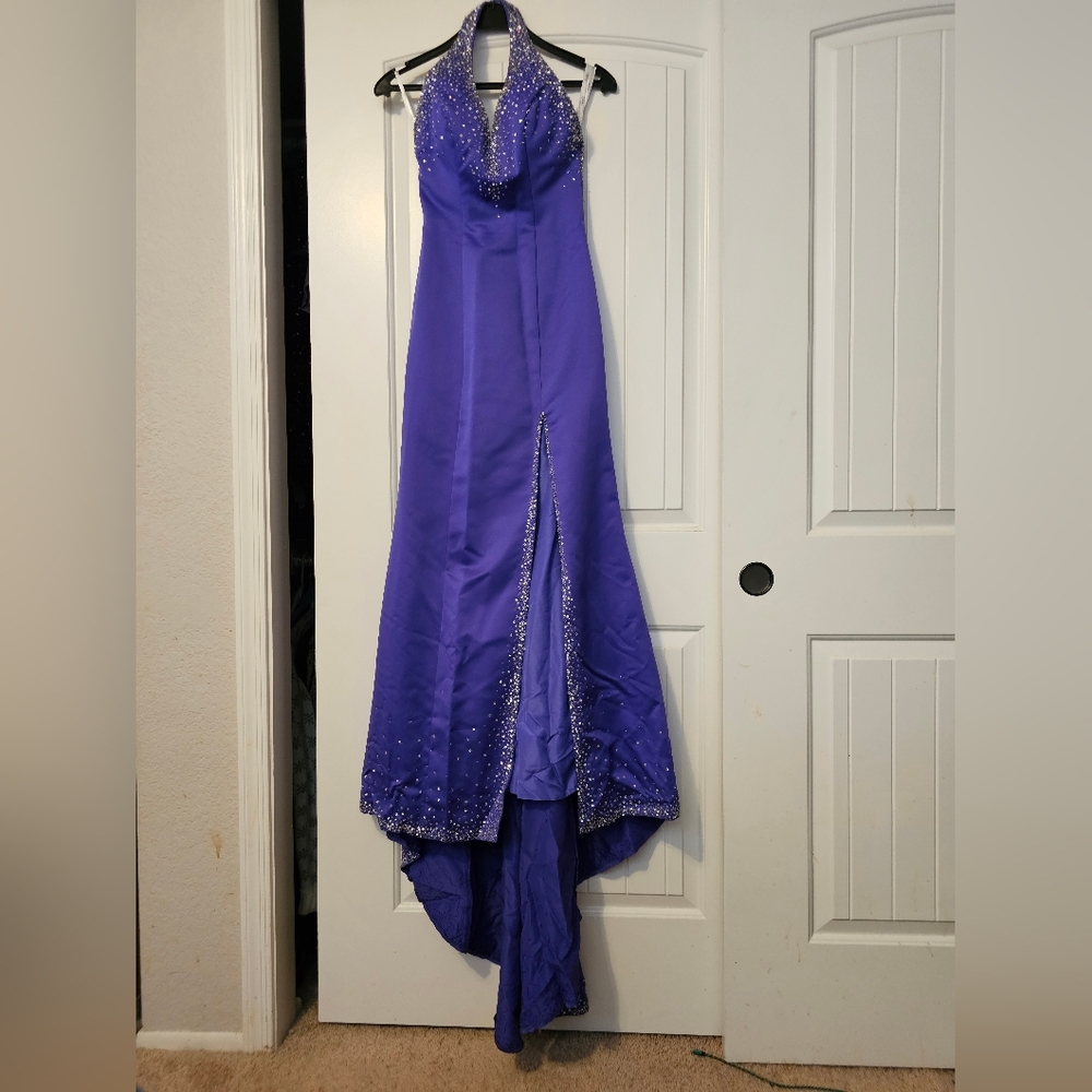 Tiffany Designs Prom or Pagent Dress